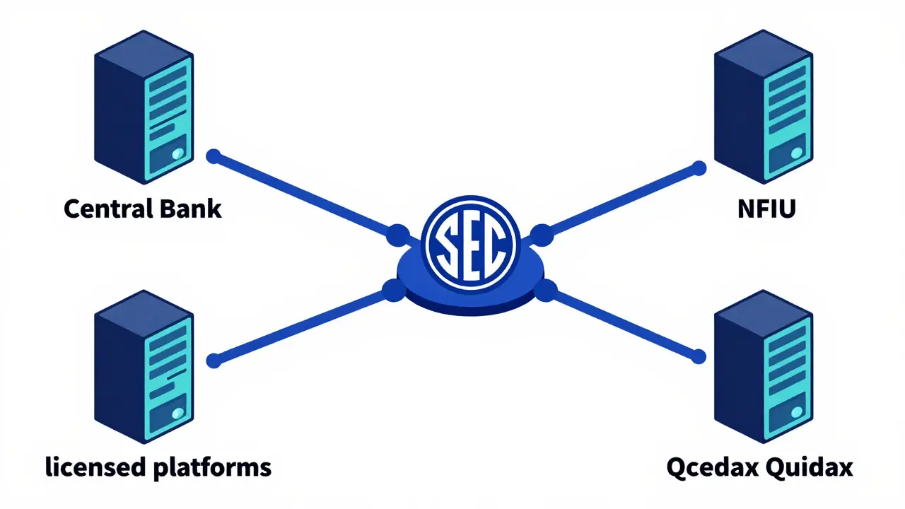 Technical diagram of Nigerian crypto regulatory agencies network